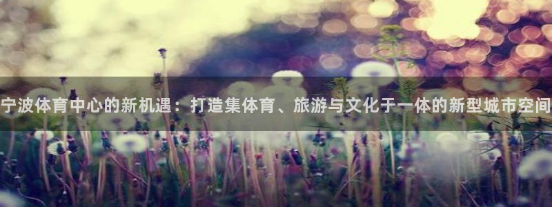 意昂4科技：宁波体育中心的新机遇：打造集体育、旅游与