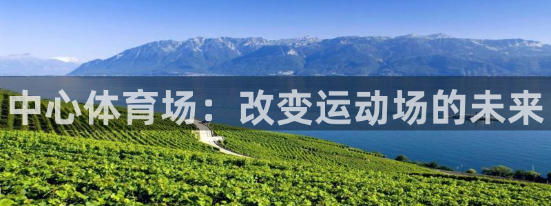 注册意昂4：中心体育场：改变运动场的未来