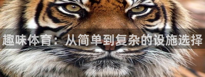 意昂4娱乐网站：趣味体育：从简单到复杂的设施选择