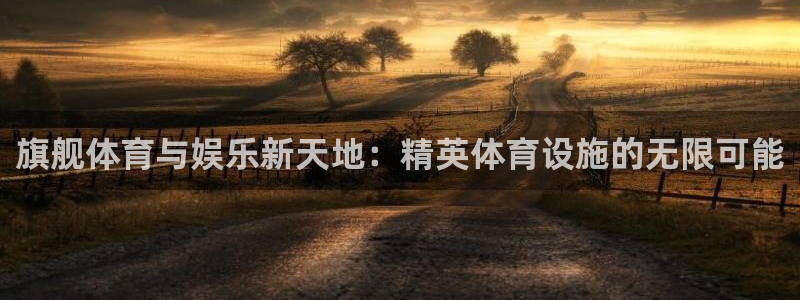 意昂4娱乐网站：旗舰体育与娱乐新天地：精英体育设施的