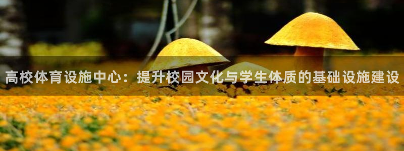 意昂4代理：高校体育设施中心：提升校园文化与学生体质