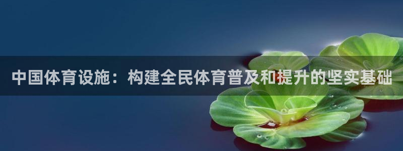 意昂体育4招商电话是多少号码：中国体育设施：构建全民