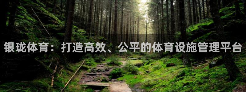 意昂4代理：银珑体育：打造高效、公平的体育设施管理平