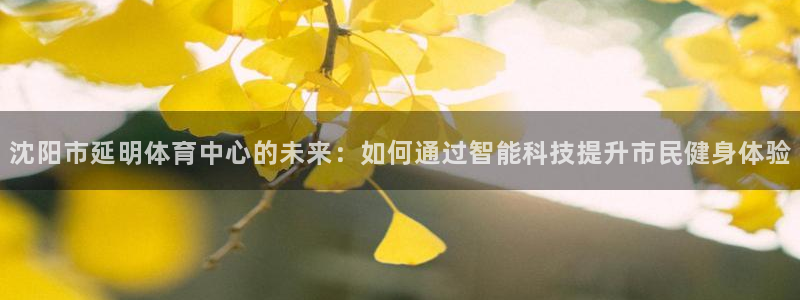 意昂体育4平台注册要钱吗：沈阳市延明体育中心的未来：