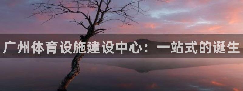 意昂体育4平台注册流程图：广州体育设施建设中心：一站