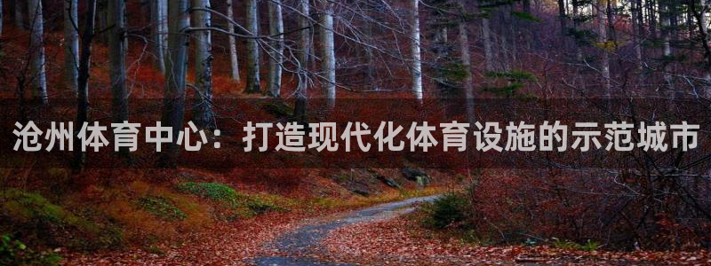 意昂4娱乐网站：沧州体育中心：打造现代化体育设施的示