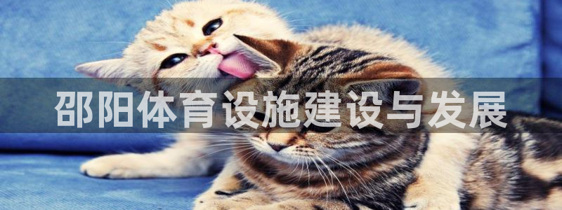 意昂4集团logo：邵阳体育设施建设与发展