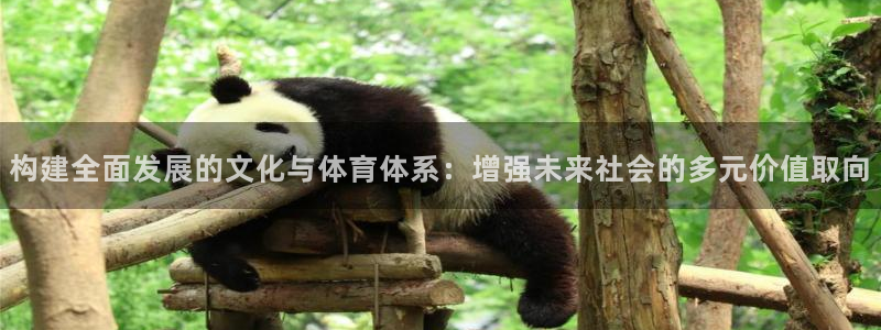 意昂体育4招商电话号码是多少号：构建全面发展的文化与