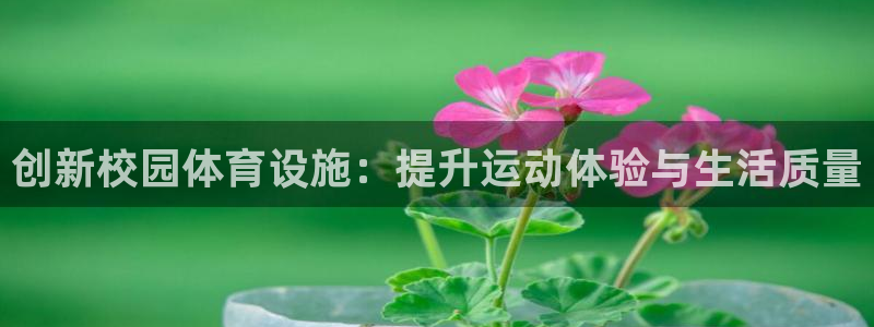 意昂4娱乐首页网站大全：创新校园体育设施：提升运动体