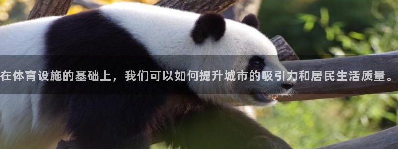 意昂4神州：在体育设施的基础上，我们可以如何提升城市