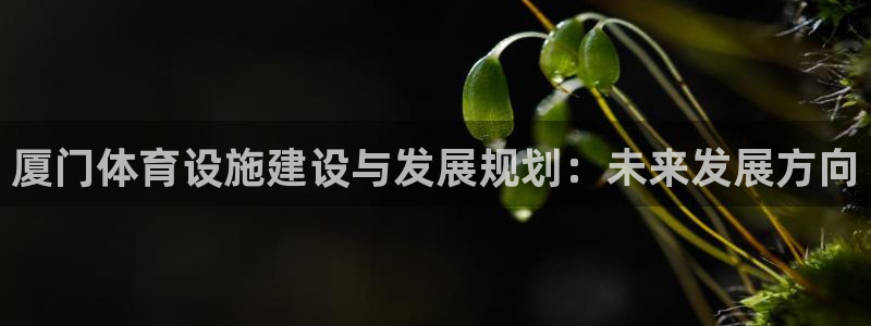 意昂4神州：厦门体育设施建设与发展规划：未来发展方向