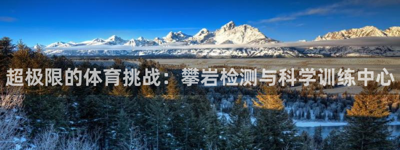 意昂体育4平台注册流程图：超极限的体育挑战：攀岩检测