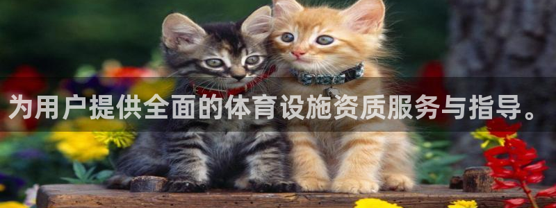 意昂4娱乐40996：为用户提供全面的体育设施资质服