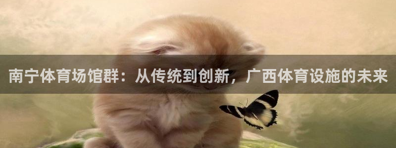 意昂体育4：南宁体育场馆群：从传统到创新，广西体育设