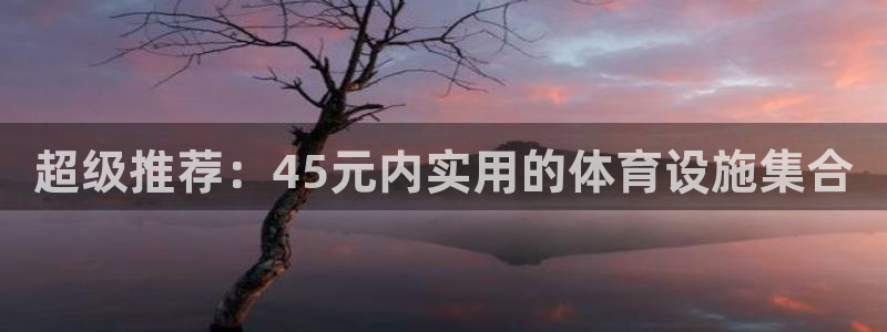 意昂体育4平台是正规平台吗：超级推荐：45元内实用的