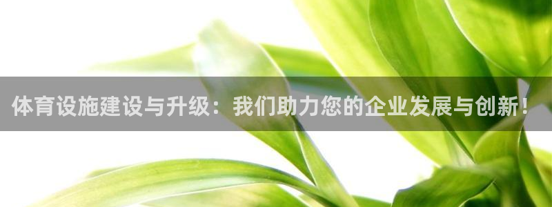 意昂体育4是干嘛的公司：体育设施建设与升级：我们助力