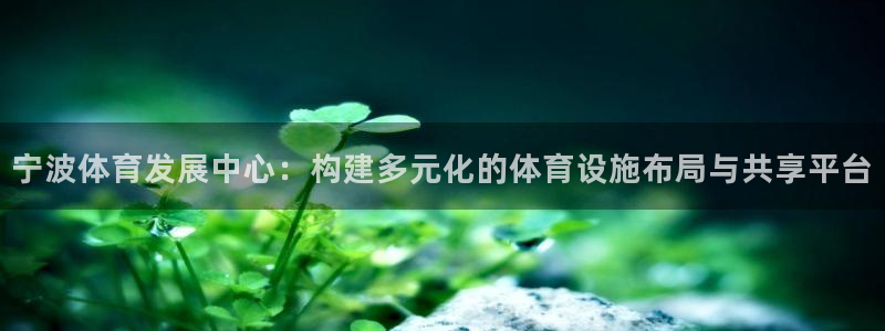 意昂体育4是干嘛的公司：宁波体育发展中心：构建多元化