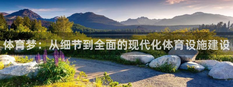 意昂体育4平台注册：体育梦：从细节到全面的现代化体育