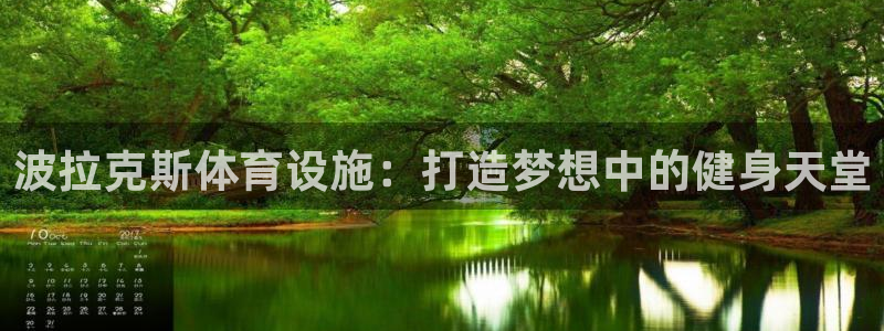 意昂4娱乐是那个系列的台子：波拉克斯体育设施：打造梦