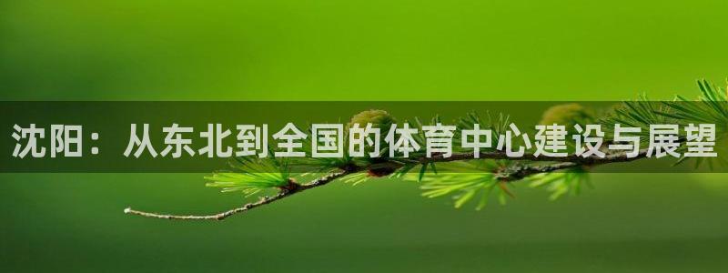 意昂4娱乐网站：沈阳：从东北到全国的体育中心建设与展