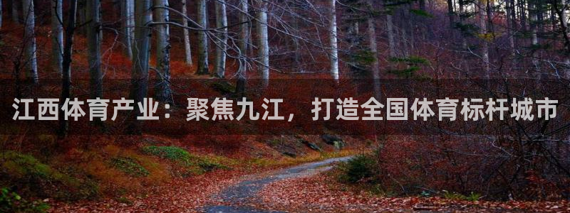 意昂4代理：江西体育产业：聚焦九江，打造全国体育标杆