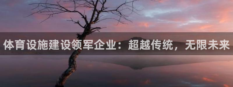 意昂4娱乐：体育设施建设领军企业：超越传统，无限未来