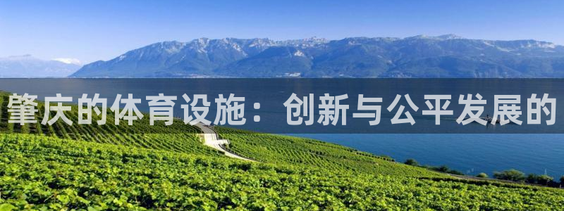 意昂体育4联系电话：肇庆的体育设施：创新与公平发展的