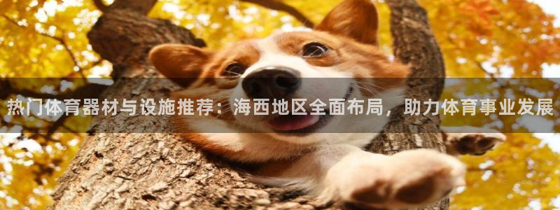 意昂体育4招商电话号码查询：热门体育器材与设施推荐：