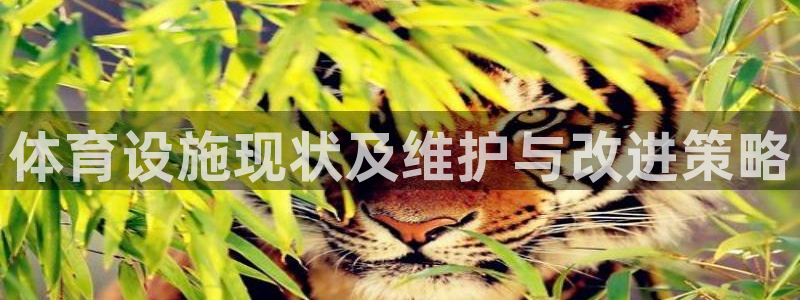 意昂体育4招商电话是多少号码：体育设施现状及维护与改