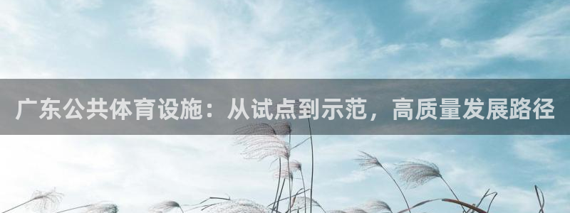 意昂体育4招商电话号码是多少：广东公共体育设施：从试