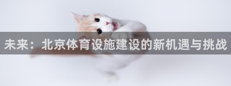 意昂4开户：未来：北京体育设施建设的新机遇与挑战