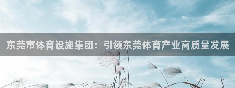 意昂体育4是干嘛的公司：东莞市体育设施集团：引领东莞