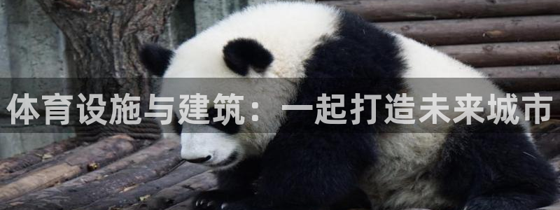 意昂4娱乐40996：体育设施与建筑：一起打造未来城