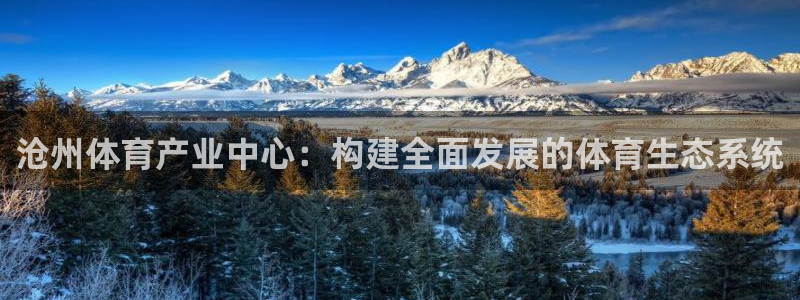 意昂体育4平台是正规平台吗安全吗：沧州体育产业中心：