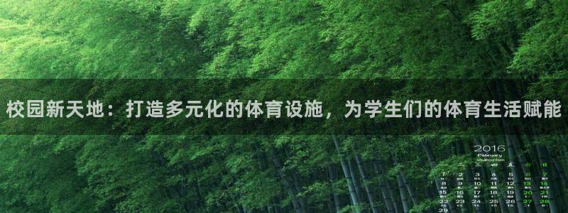 注册意昂4：校园新天地：打造多元化的体育设施，为学生