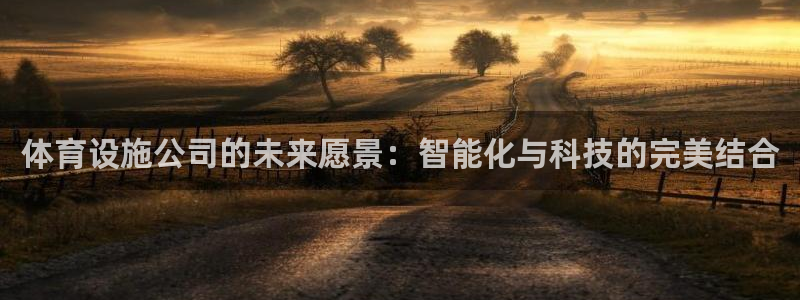 意昂4官网：体育设施公司的未来愿景：智能化与科技的完