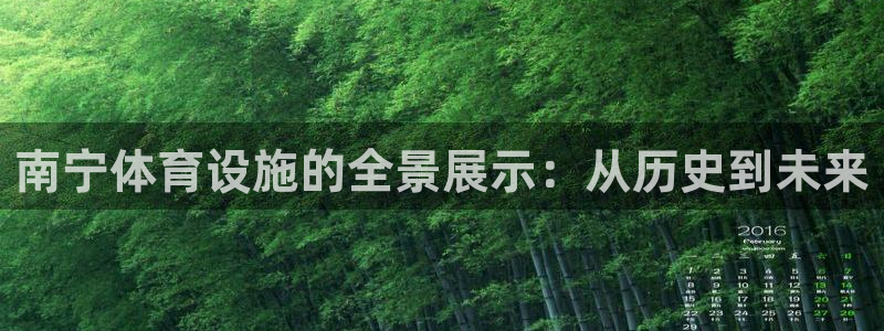 意昂体育4招商电话是多少号码：南宁体育设施的全景展示