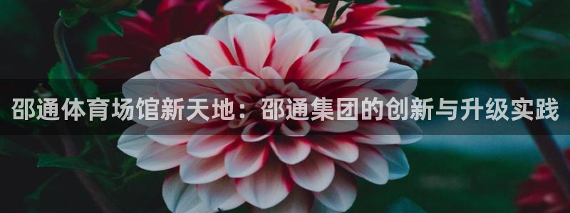 意昂4集团官网首页：邵通体育场馆新天地：邵通集团的创