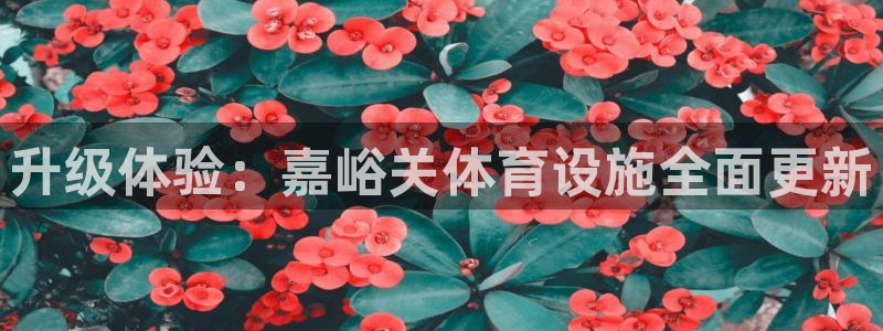 意昂体育4平台APP：升级体验：嘉峪关体育设施全面更