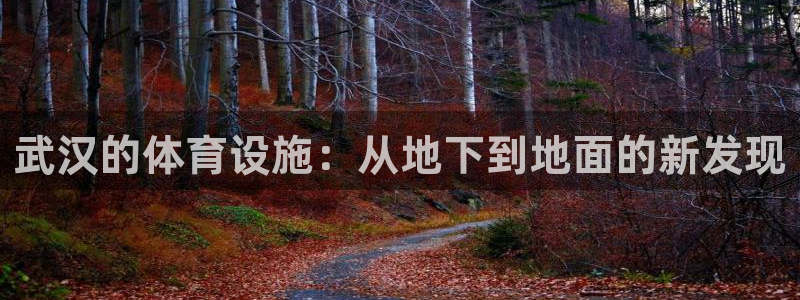 意昂4集团官网首页：武汉的体育设施：从地下到地面的新
