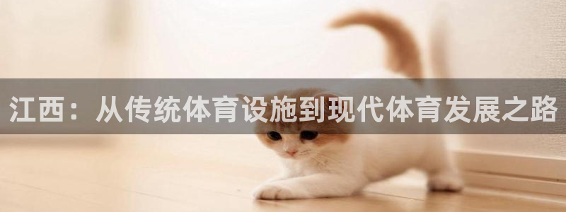 意昂体育4平台注册要钱吗安全吗：江西：从传统体育设施