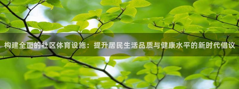 意昂体育4官方客服电话：构建全面的社区体育设施：提升