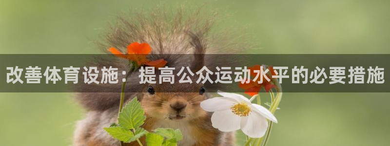 意昂体育4平台是正规平台吗知乎：改善体育设施：提高公