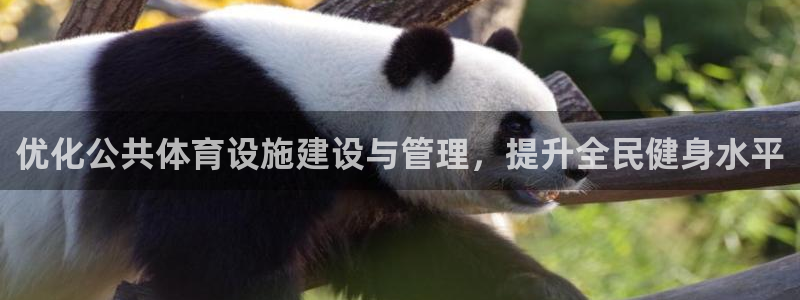 意昂体育4招商电话号码查询：优化公共体育设施建设与管