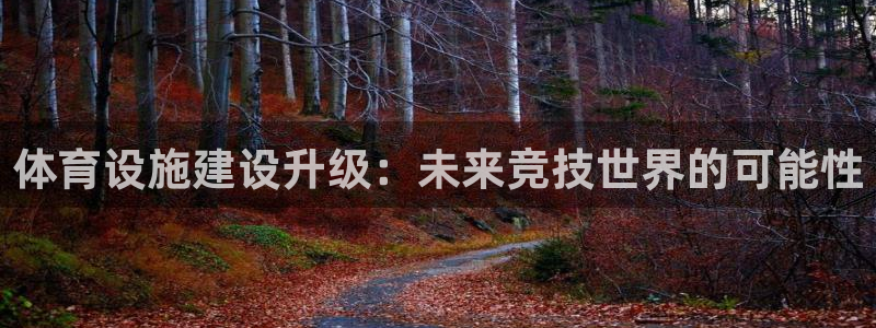 意昂4娱乐首页官网下载：体育设施建设升级：未来竞技世