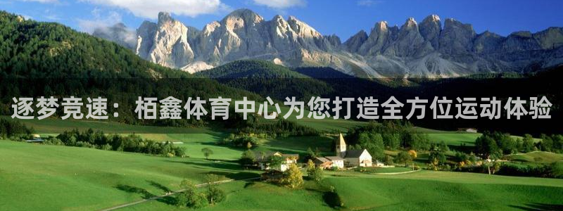 意昂4新能源：逐梦竞速：栢鑫体育中心为您打造全方位运