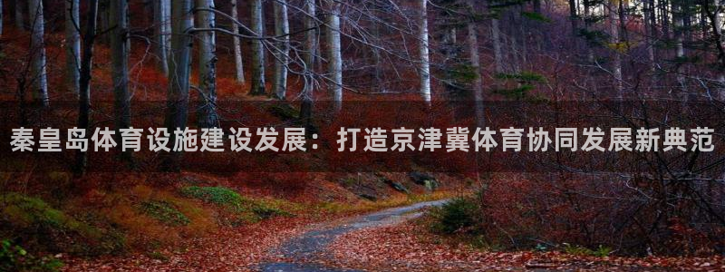 意昂体育4平台注册要钱吗安全吗：秦皇岛体育设施建设发