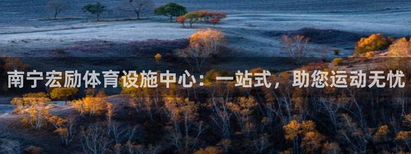 意昂体育4招商电话地址查询：南宁宏励体育设施中心：一